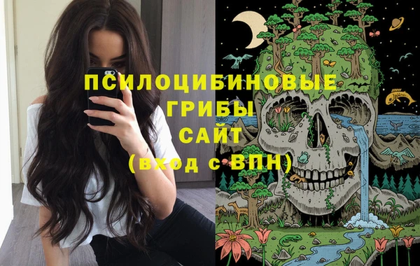 первитин Нягань
