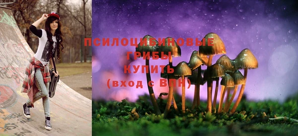 первитин Нягань