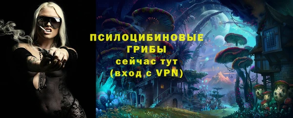 экстази Няндома