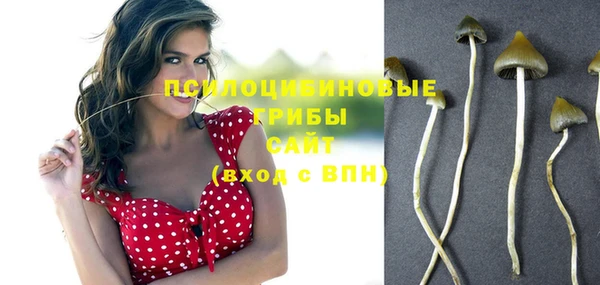 мдпв Ижевск