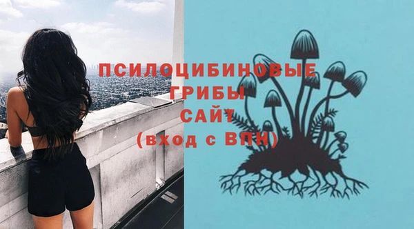 МДПВ Нязепетровск