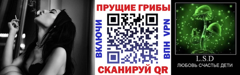 кракен маркетплейс  Палласовка  Галлюциногенные грибы прущие грибы 